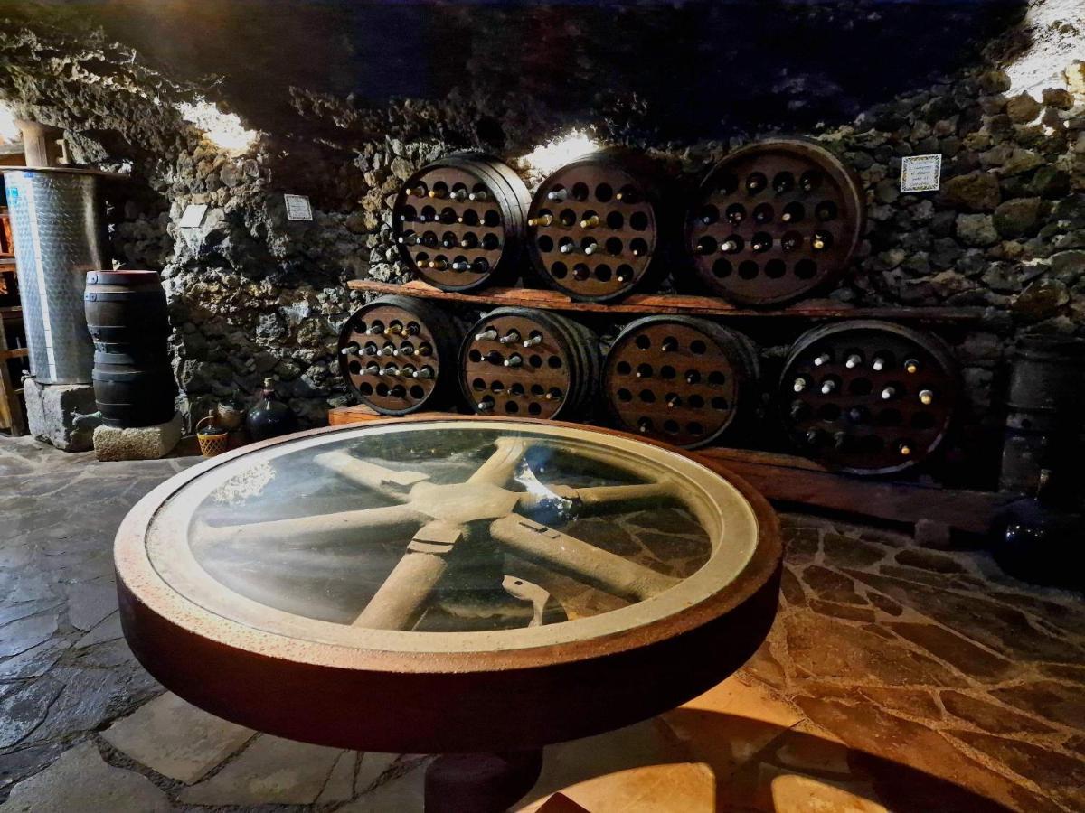 Finca Los Loros Icod De Los Vinos By Hrtenerife Net Санта-Крус-де-Тенеріфе Екстер'єр фото